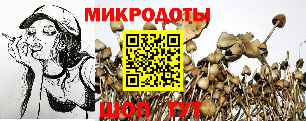 Псилоцибиновые грибы Cubensis Шали