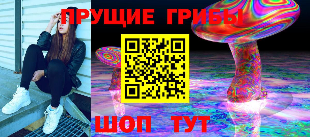 Шали  Галлюциногенные грибы Psilocybine cubensis  Вход с VPN 